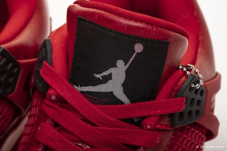 Jordan 4 Singles Air AV3914-600 Day 0224